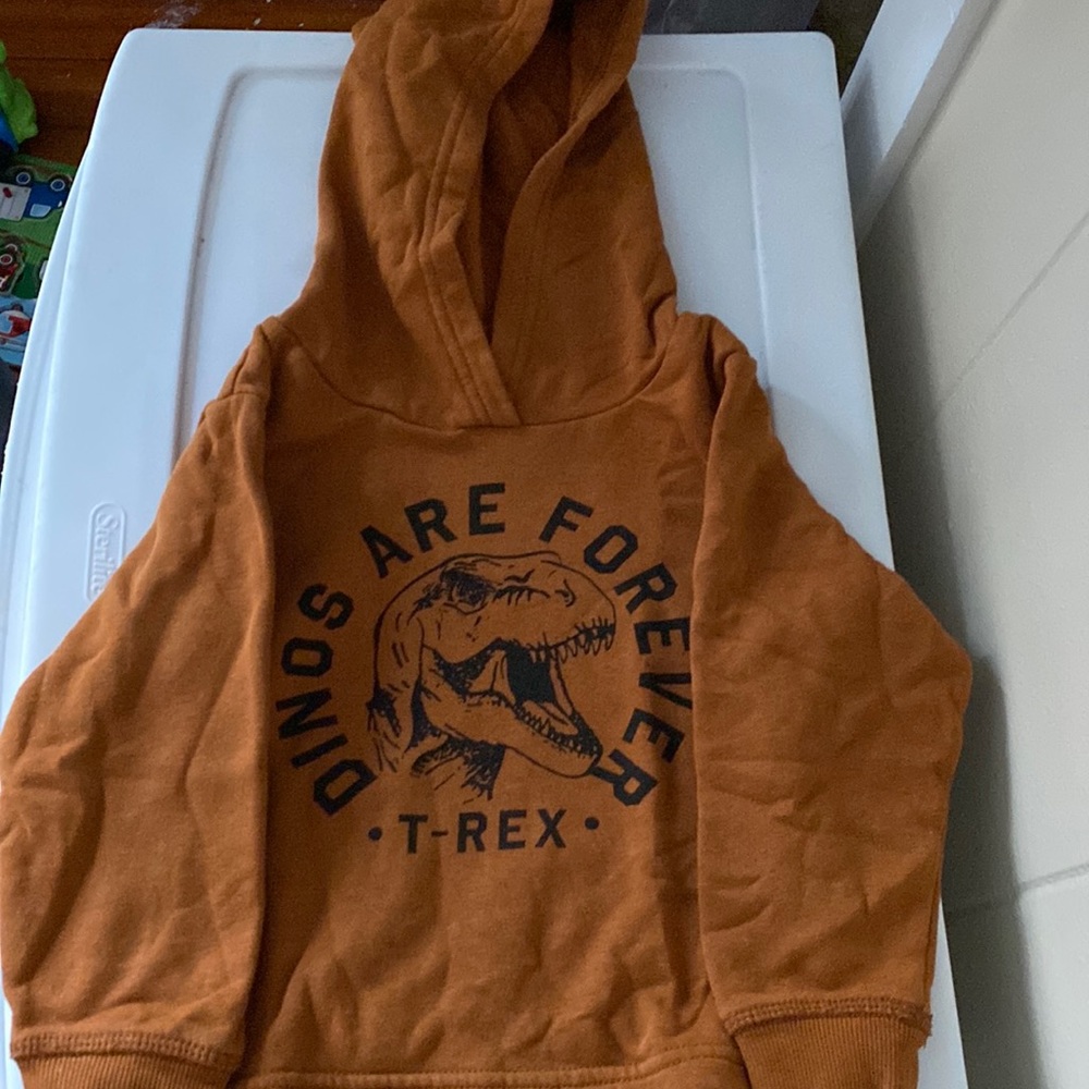 2T boy sweater